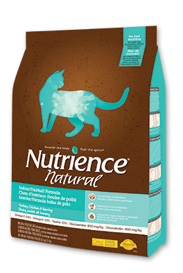 indoor-hairball