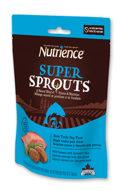 Wild Salmon with Sprouted Chia