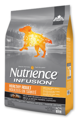 infusion-dog-healthy-adult